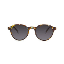 Barner Chamberi Blue Tortoise Color Sunglass