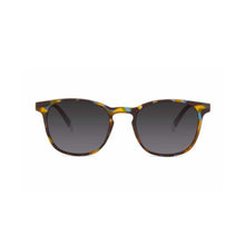 Barner Dalston Blue Tortoise Color Sunglass