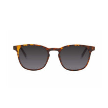 Barner Dalston Tortoise Color Sunglass