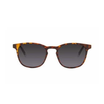 Barner Dalston Tortoise Color Sunglass