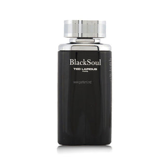 Ted Lapidus Black Soul EDT 100Ml For Men